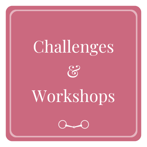 Targeted mini-sessions designed to solve common riding problems.