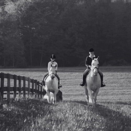BW Riding BW Riding